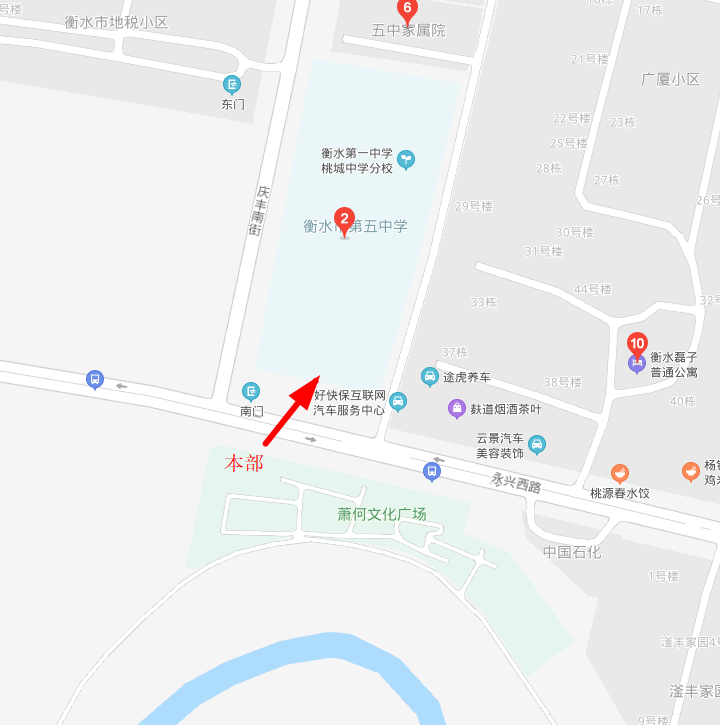 香港马料