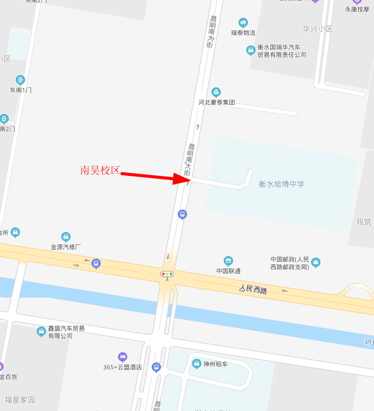 香港马料